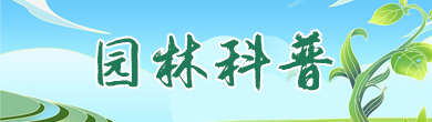 ԰ֿ